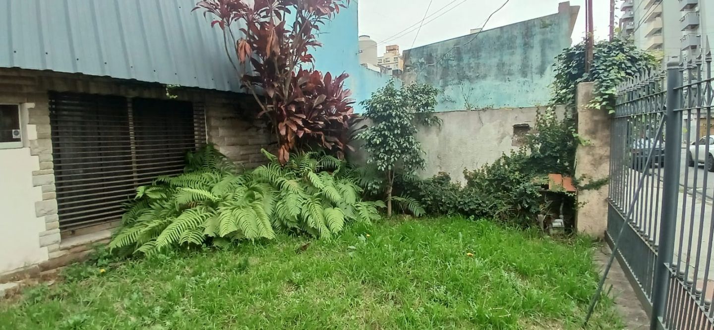 Imagen 5