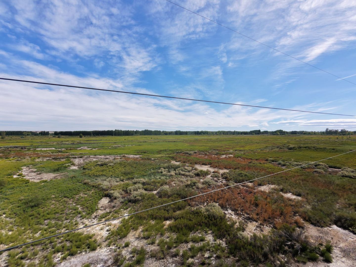 Campo EN VENTA