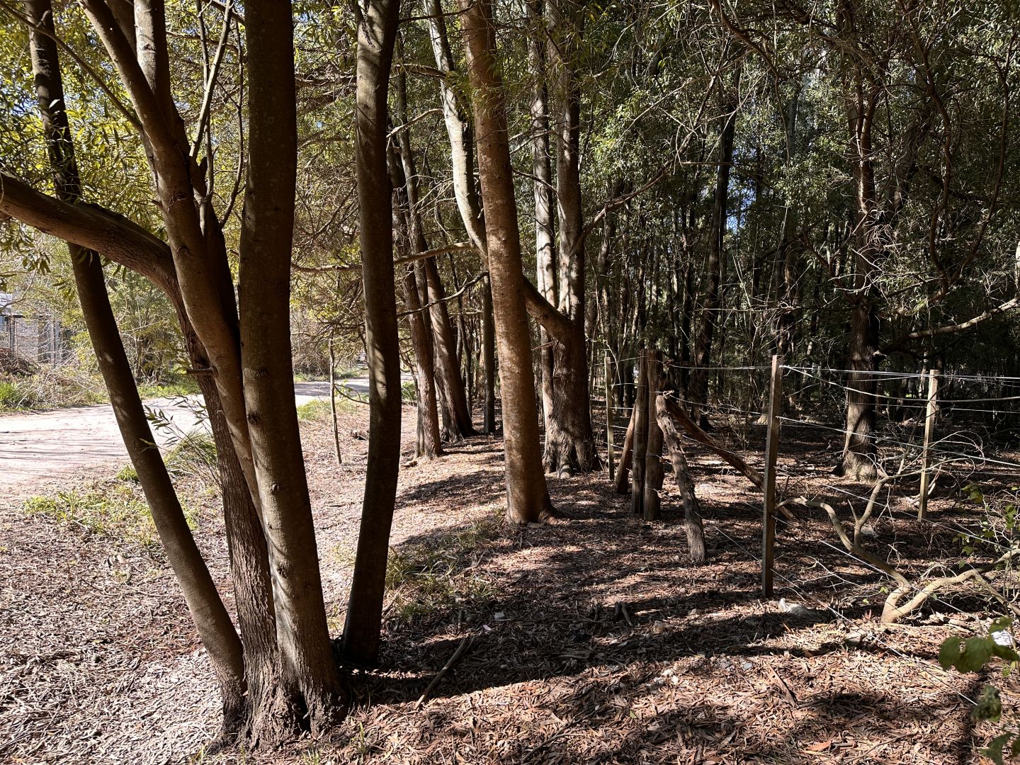 Lote EN VENTA
