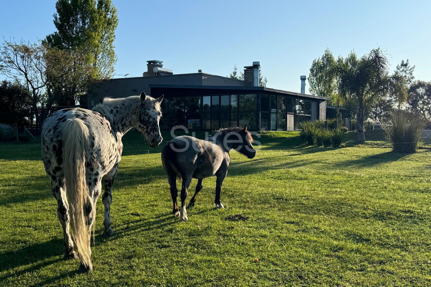 Casa EN ALQUILER