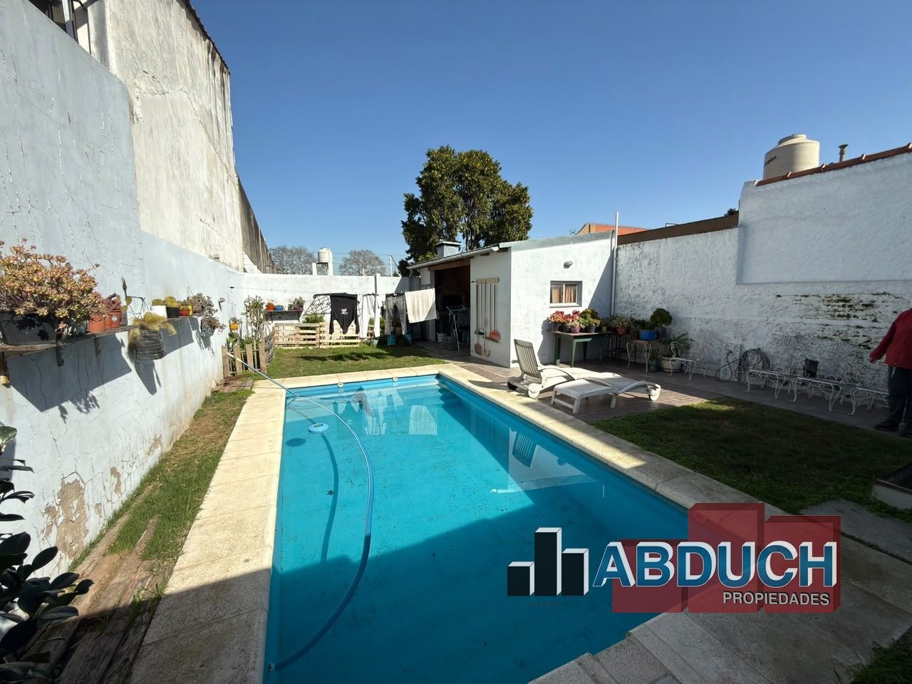 Imagen 15