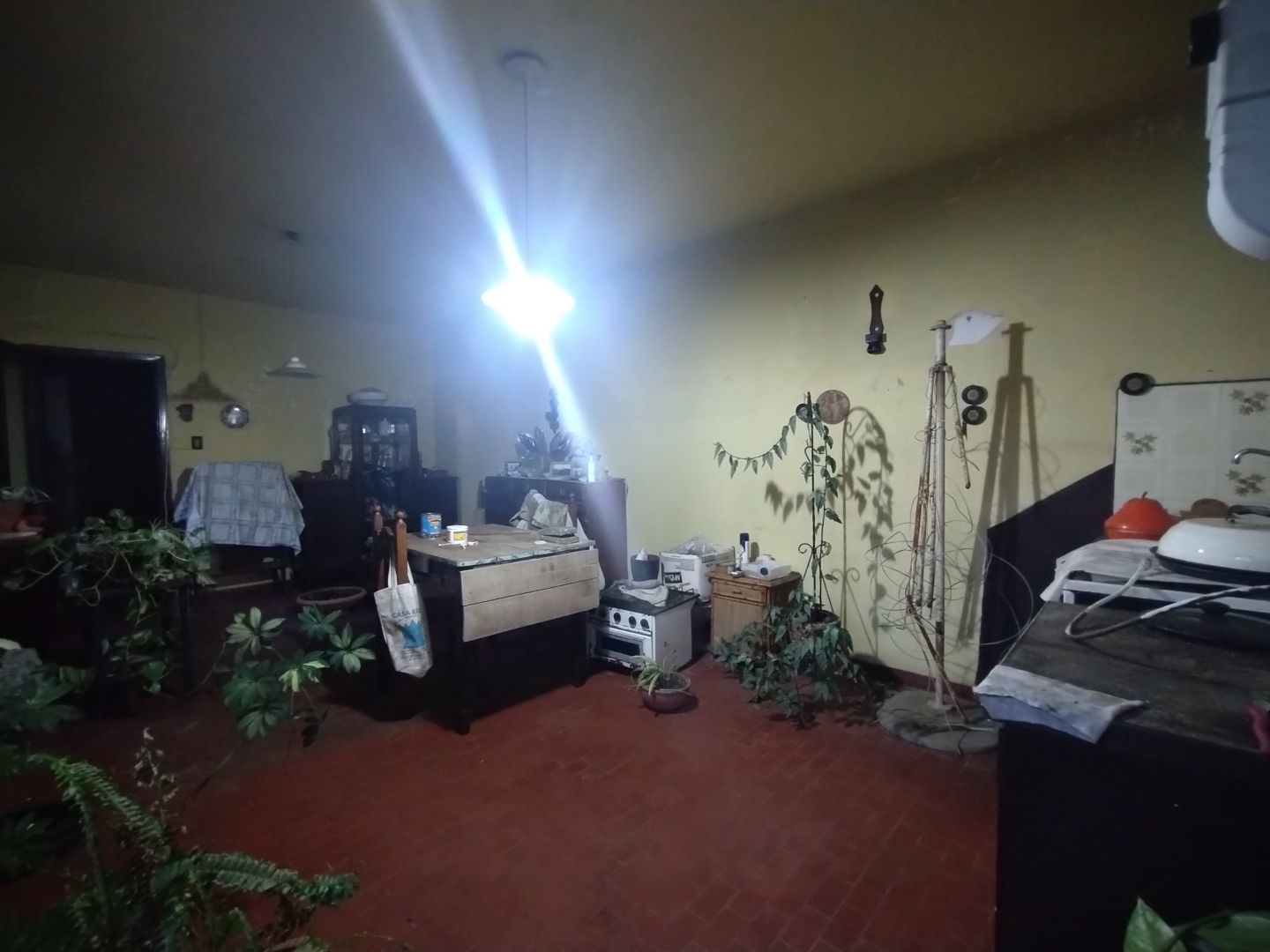 Imagen 11