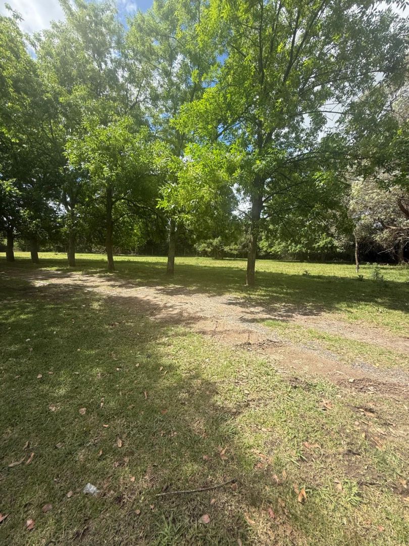VENTA DE CAMPO EN Brandsen - Gómez de la Vega - 43