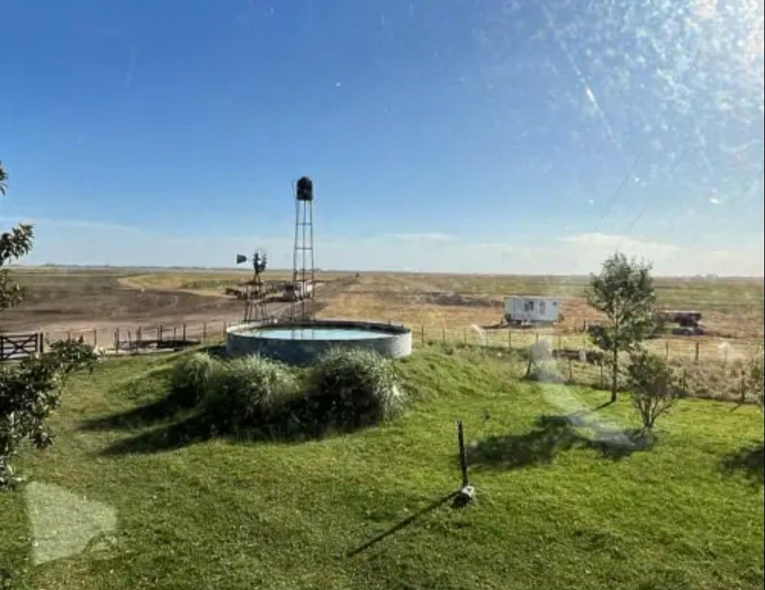 Campo en 