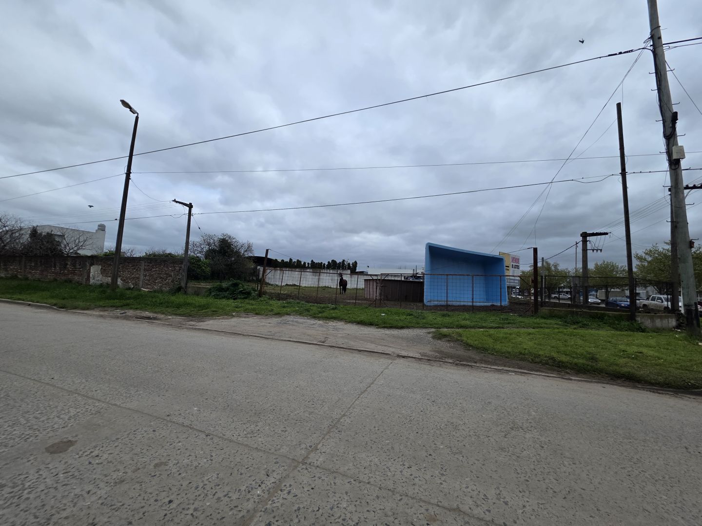 Imagen 4