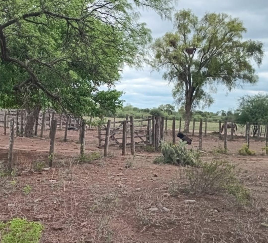 Campo EN VENTA