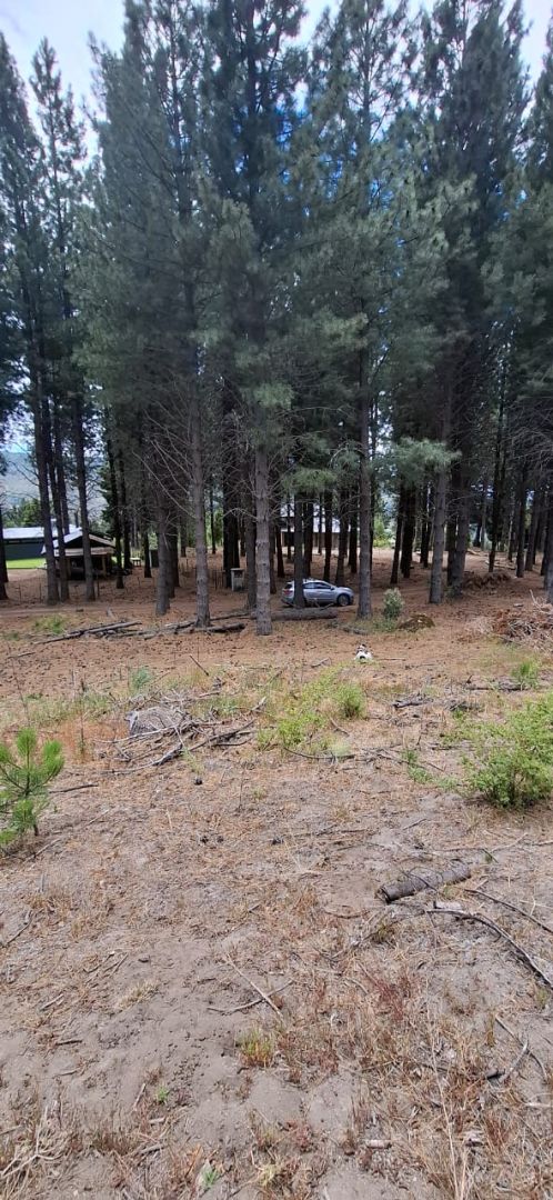 Lote en Venta en Lacar, Neuquen
