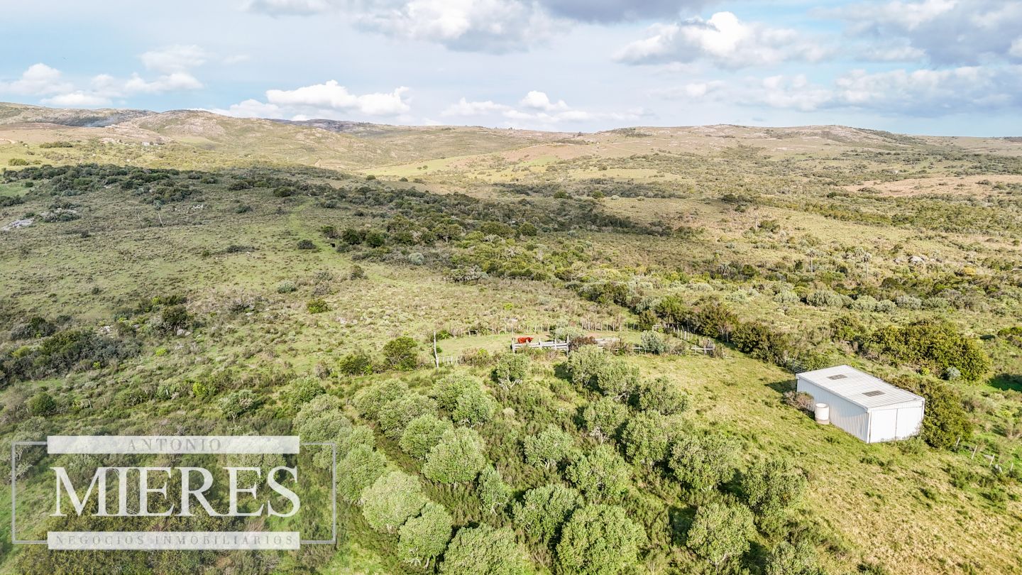 Campo EN VENTA