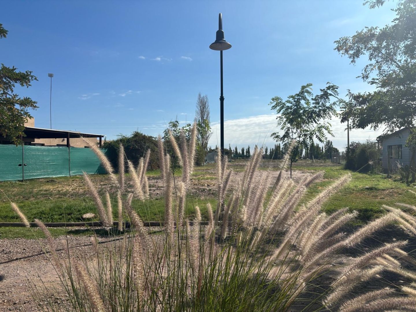 local en alquiler de  en olivos, vicente lópez
