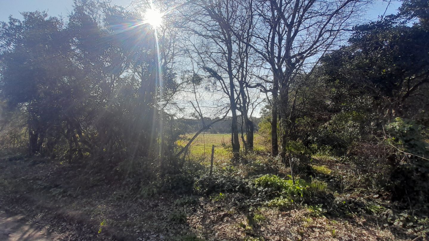 Lote EN VENTA