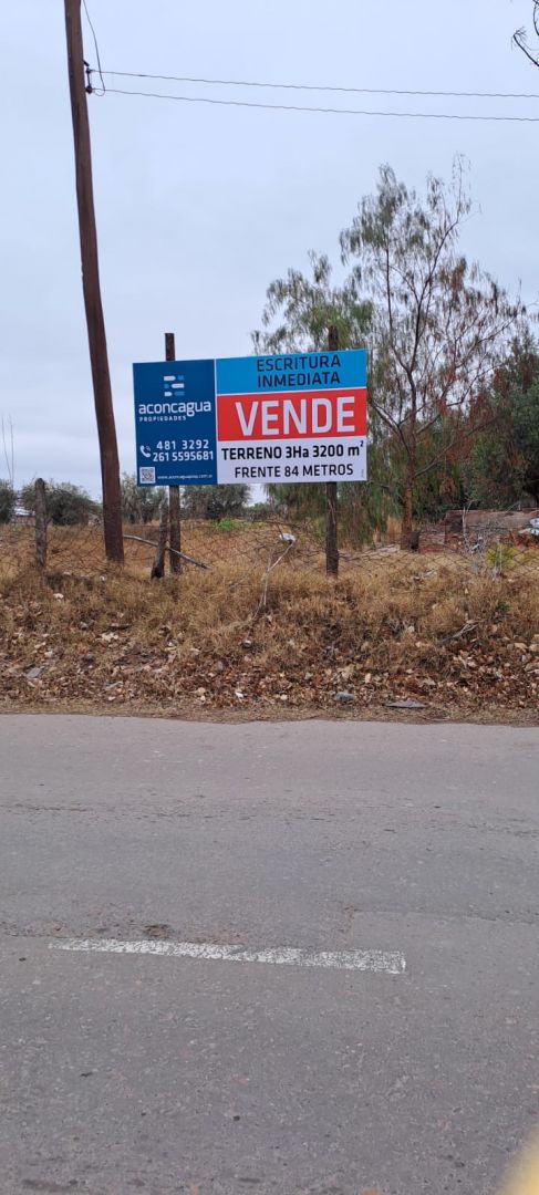 Maipu Maza