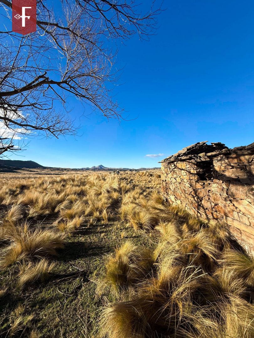 Campo en 