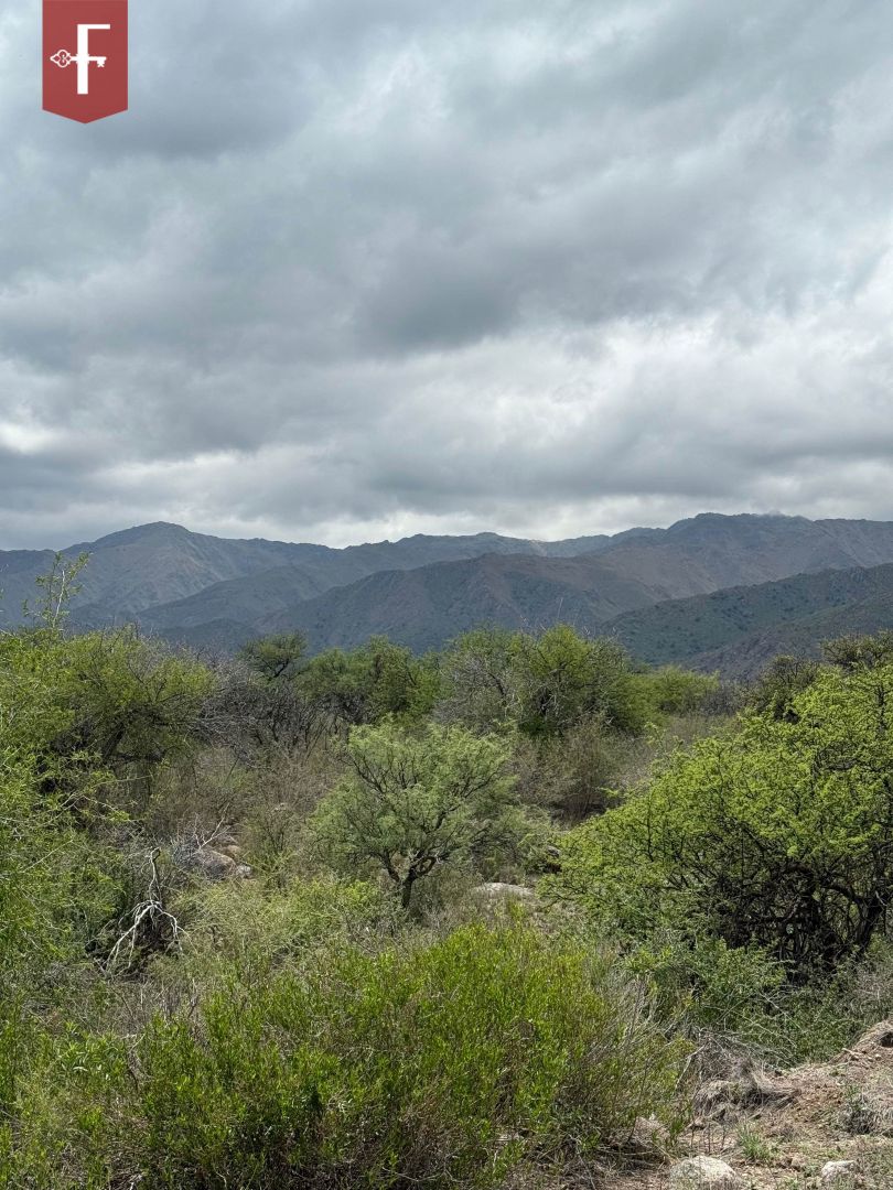 Lote en 