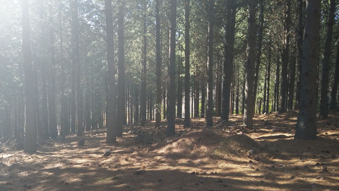 Lote en Venta en San Martin de los Andes, Neuquen