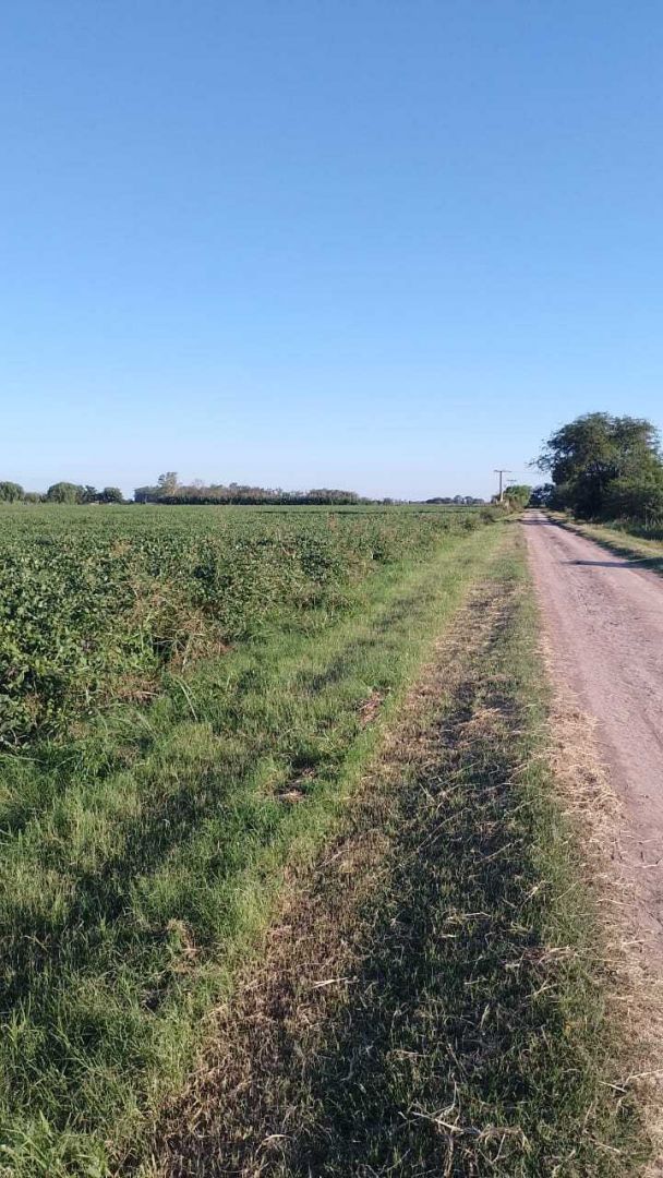 Campo EN VENTA