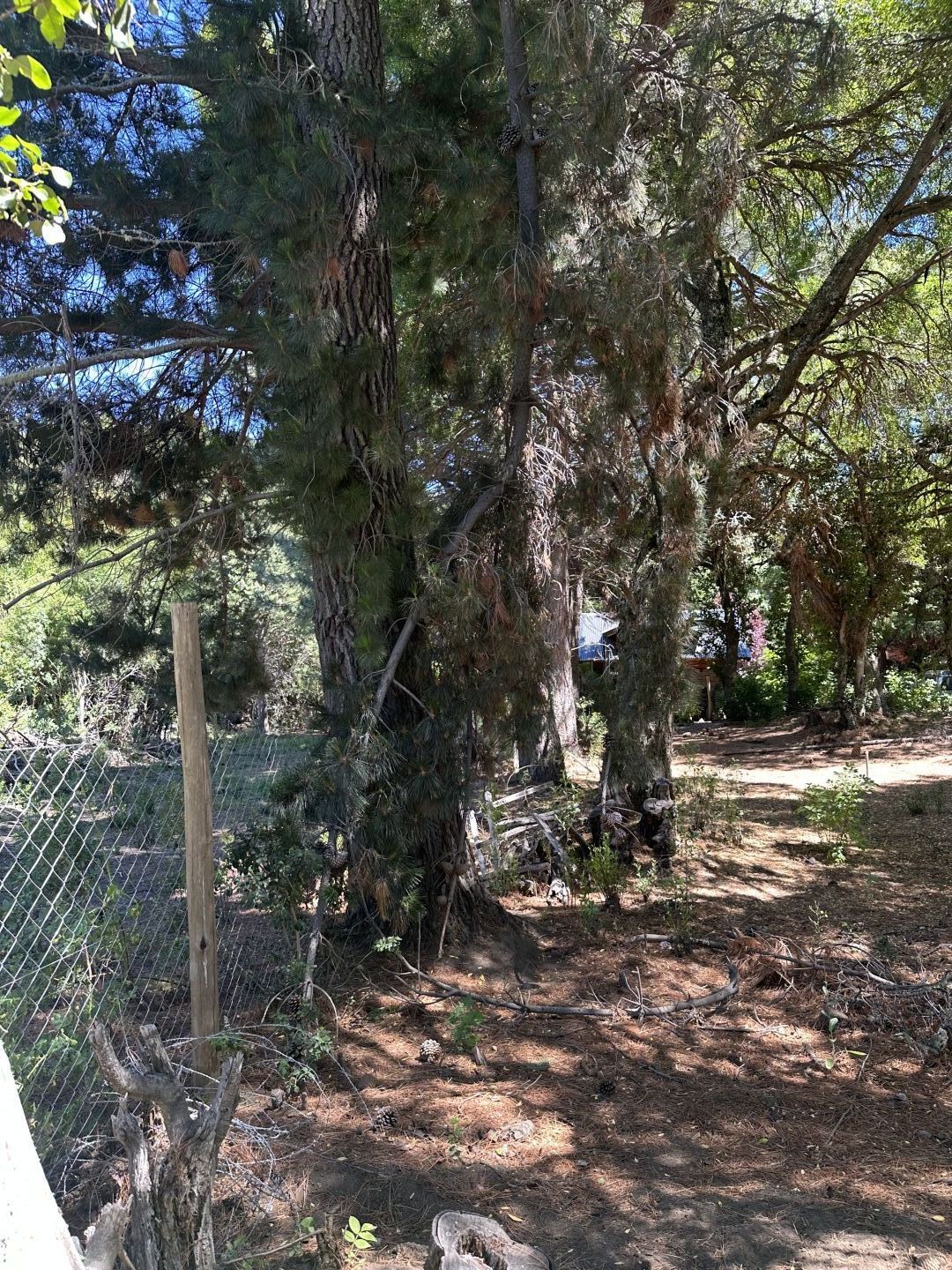 VENTA DE LOTE EN San Martín de los Andes - Camino Lolog - 35