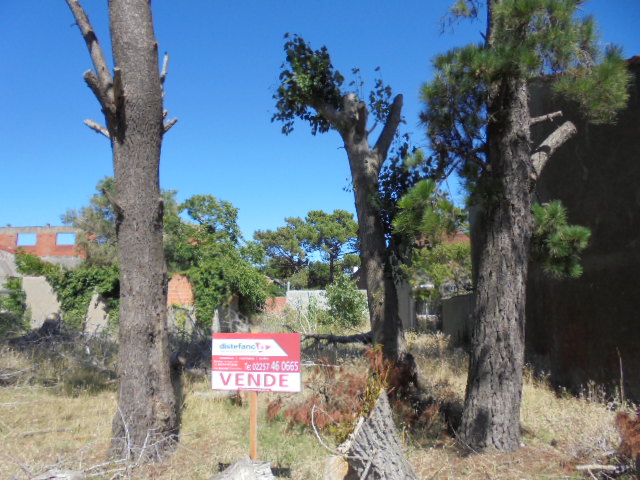 Lote EN VENTA