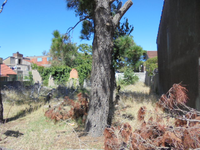 Lote EN VENTA