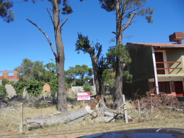 Lote EN VENTA