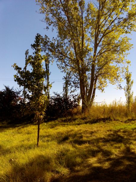 Campo EN VENTA