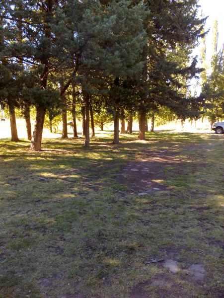 Campo EN VENTA