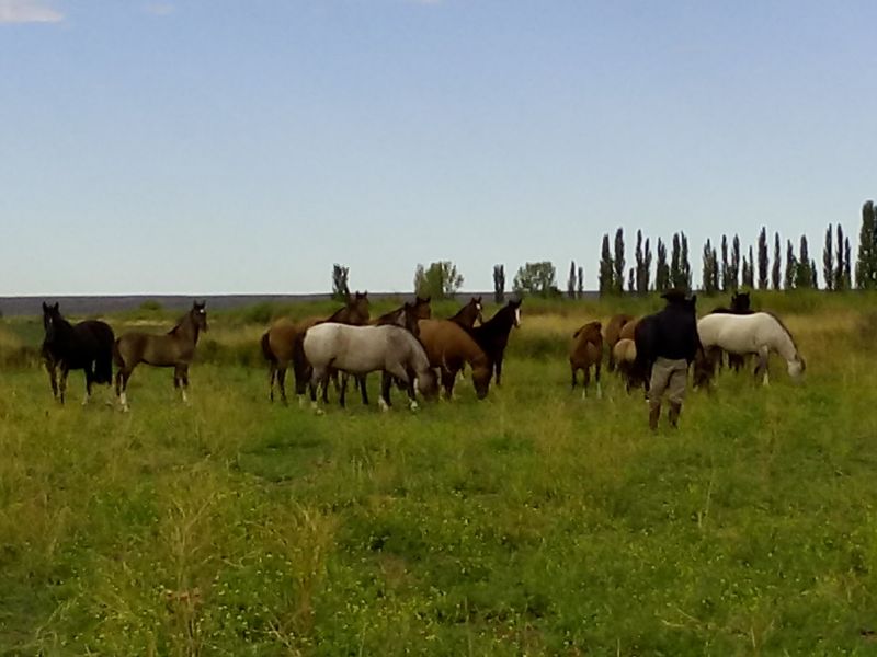 Campo EN VENTA