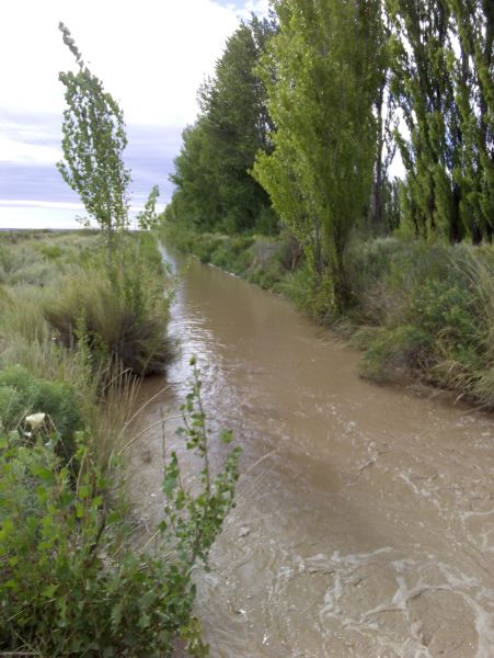 Campo EN VENTA