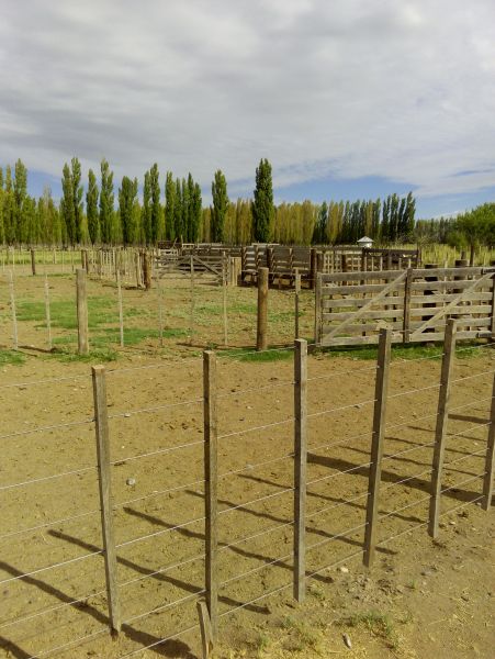Campo EN VENTA