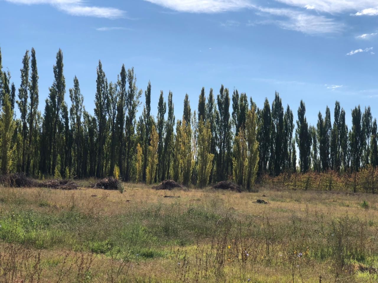 Quinta EN VENTA