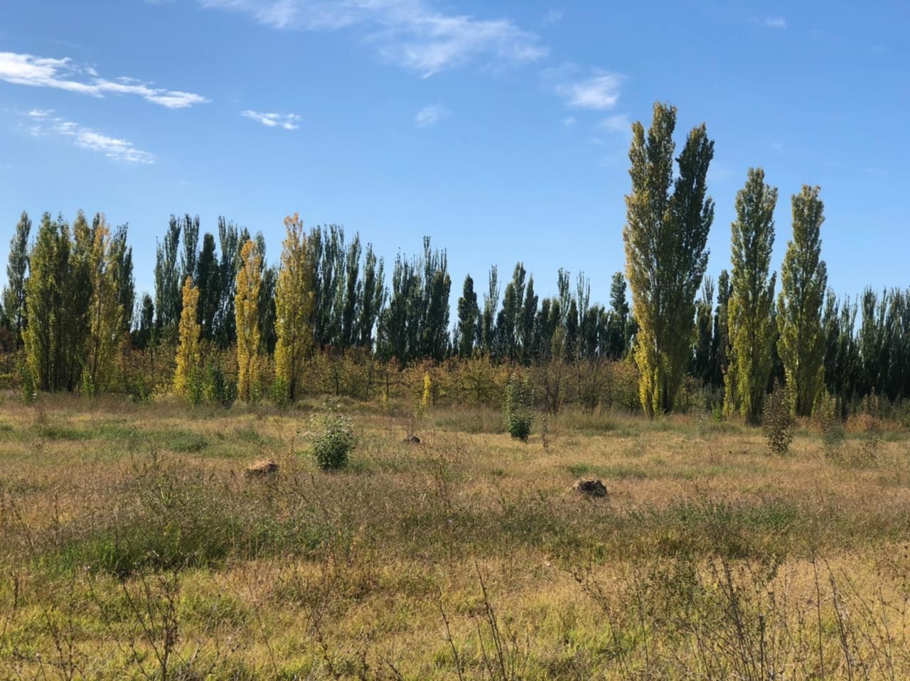 Quinta EN VENTA