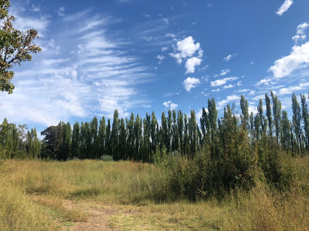 Quinta EN VENTA