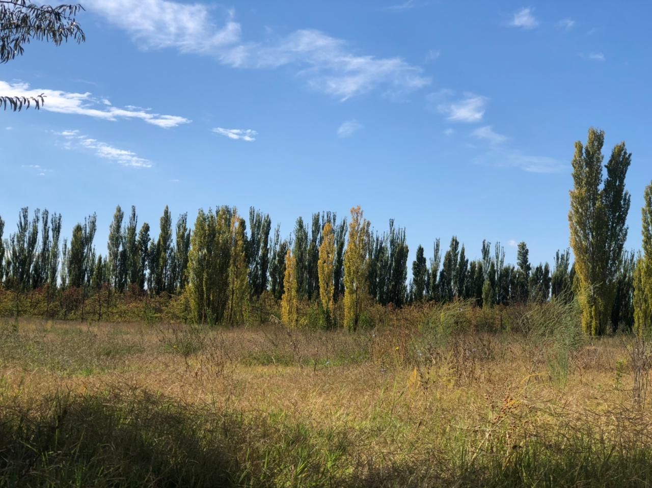 Quinta EN VENTA