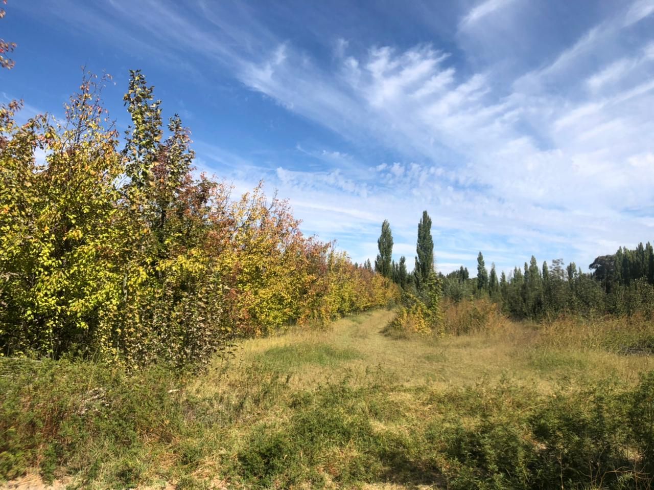 Quinta EN VENTA