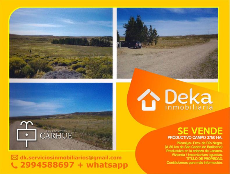 Campo EN VENTA