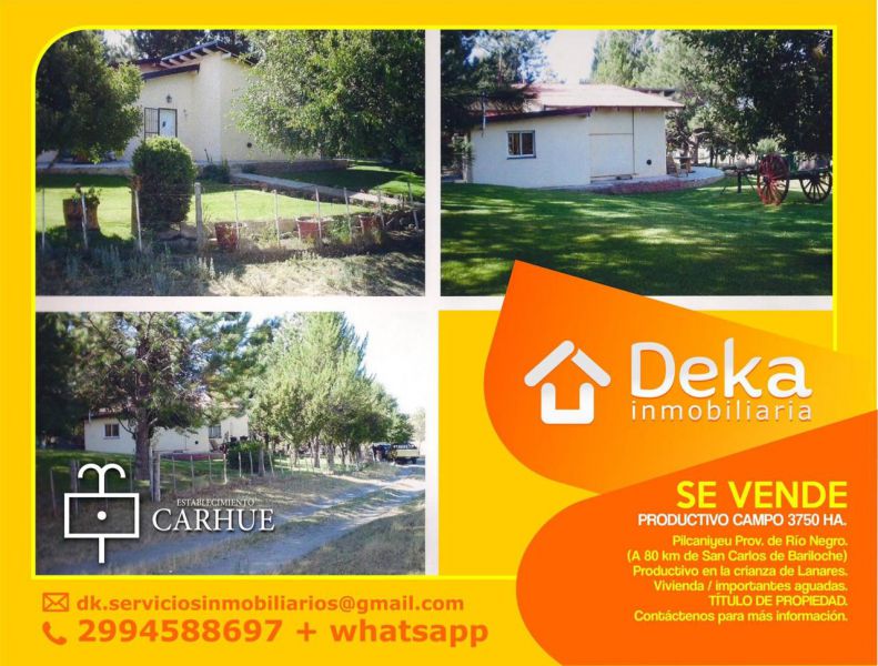 Campo EN VENTA