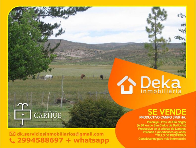 Campo EN VENTA