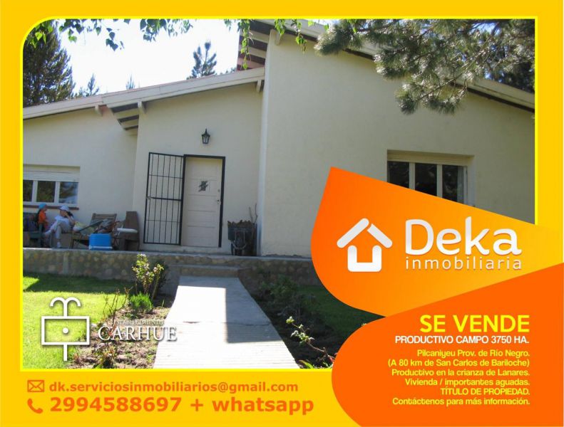Campo EN VENTA