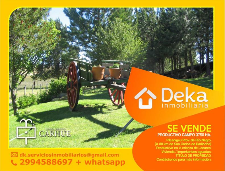 Campo EN VENTA