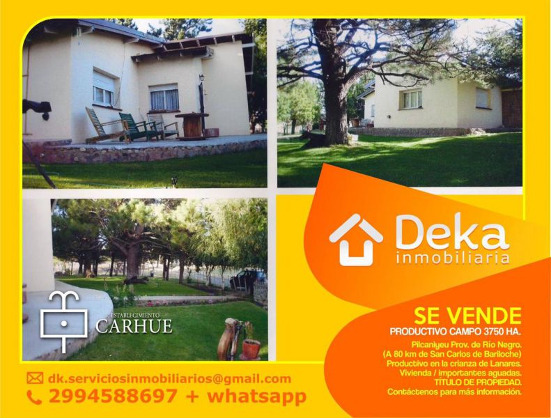 Campo EN VENTA
