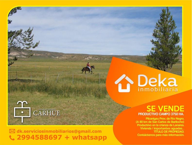 Campo EN VENTA