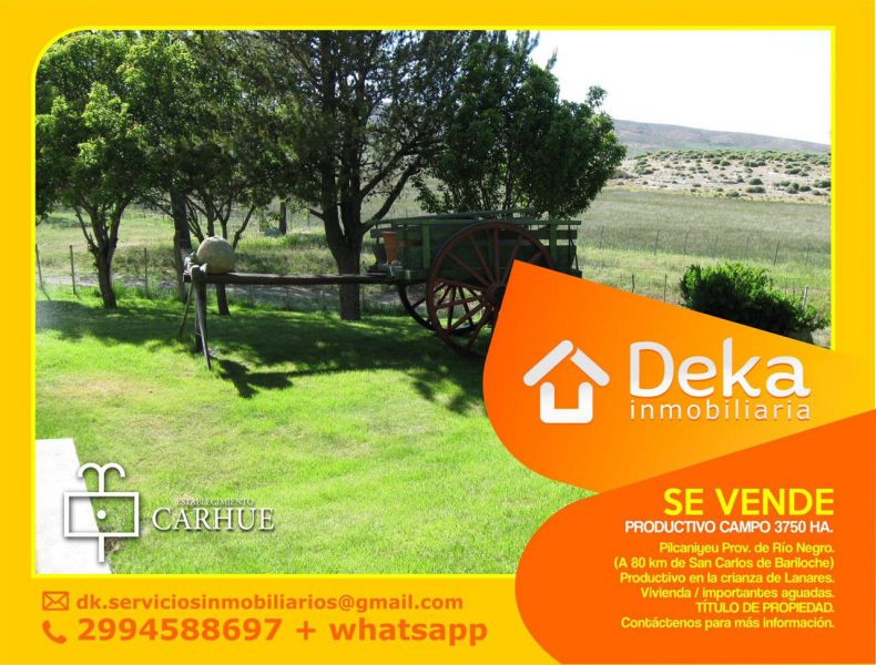Campo EN VENTA