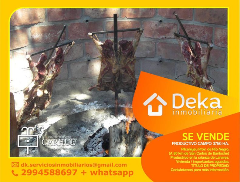 Campo EN VENTA