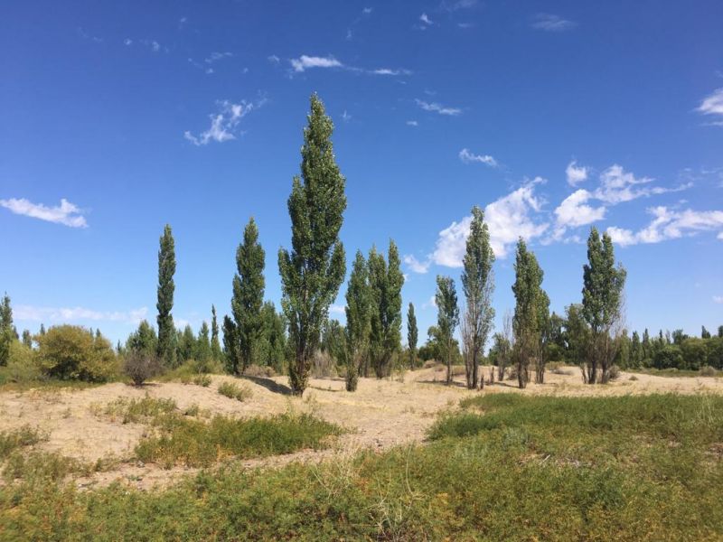 Lote EN VENTA