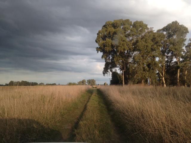 Campo EN VENTA