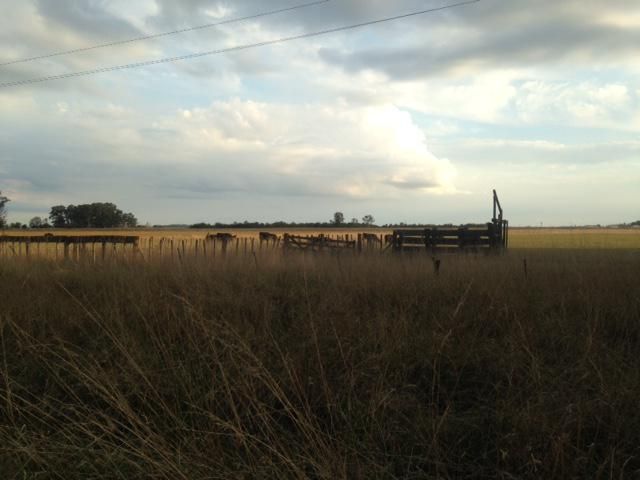 Campo EN VENTA
