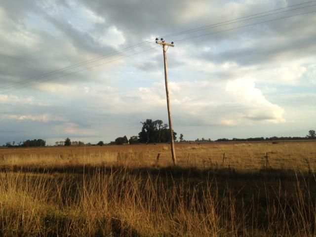 Campo EN VENTA