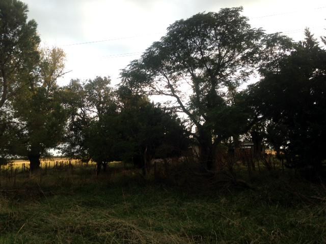 Campo EN VENTA