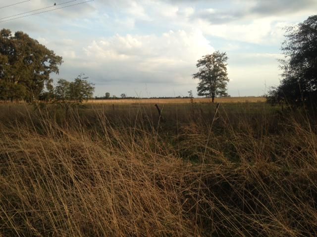 Campo EN VENTA