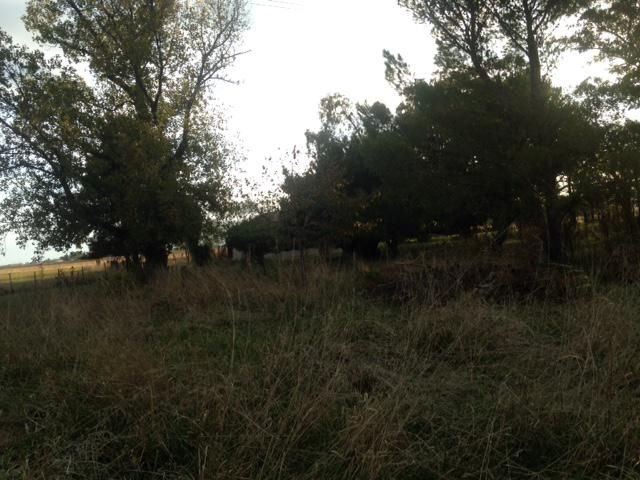 Campo EN VENTA