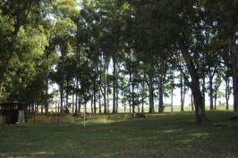 Campo EN VENTA